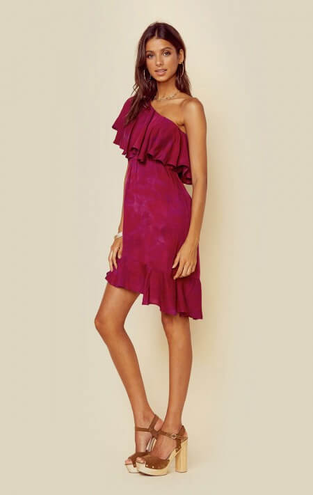 Sublime Ruffle Dress
